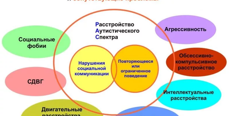 На фото описаны основные признаки РАС у детей и решение сопутствующих проблем.